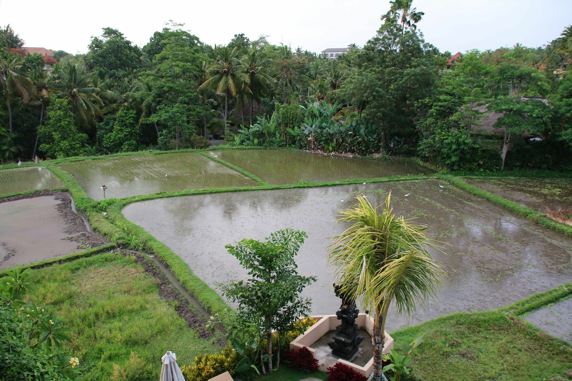 Byasa Ubud Exterior photo